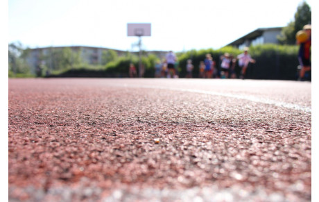 Le changement dans la continuité (article Sud-ouest)